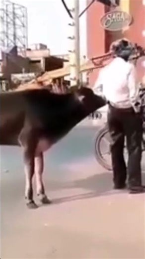 funny moments 🤣🤣🤣🤣🤣 #funny #comedy #funnyvideos #bestcomedy #bestfunny #comedyvideos