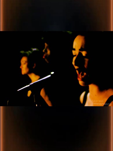 El Muro De Pink Floyd on TikTok