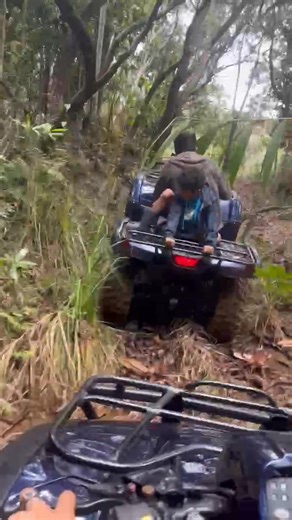 24K views · 322 reactions | Quad Adventure NC on Reels | Facebook