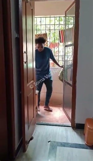 Best Open Type Mosquito Net Door