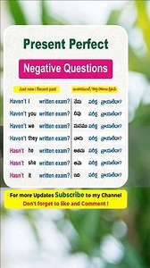Present Perfect Negative Question