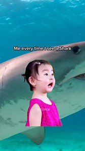 190K views · 1.4K reactions | Ready to take your dives to the next level? 錄 • Exclusive perks • Unforgettable experiences • Join a community of like-minded explorers! Dive into something extraordinary with PADI Club! | PADI | Facebook