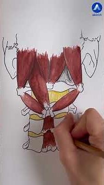 Anatomie des muscles de la nuque (région du cou) #shorts