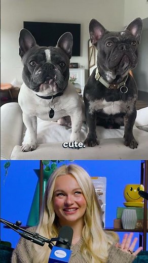 Pet Names: Cute, Silly, or Human-like?