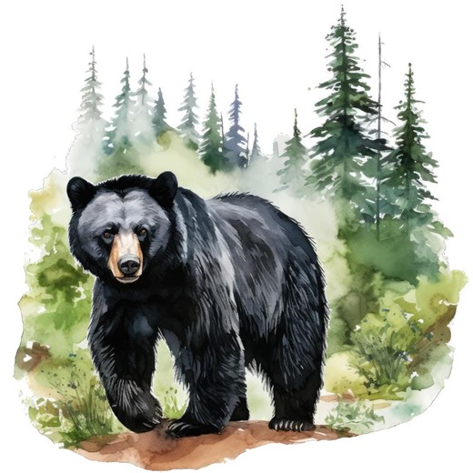 Black Bear Cross Stitch Pattern, Colorful Scene (PDF Pattern) - Etsy