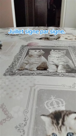 juillet signe par signe.