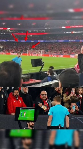 Incredibile quello che è successo durante Benfica-Monaco. Benfica in sofferenza contro il Monaco: un tifoso 'offre' 50 euro all’arbitro per un rigore. #championsleague #rigore #var #benfica #monaco #fyp Champions League Benfica | Mrgoal