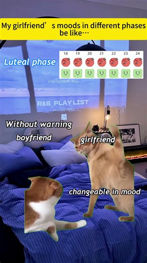 My girlfriend's moods in different phases be like ...
