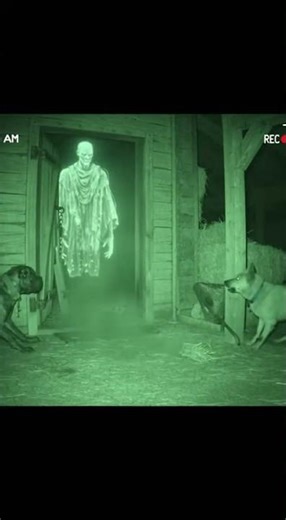 Terrifying Night Vision CCTV: Ghost Breaks Into Barn at 1:54 AM 😱🐕