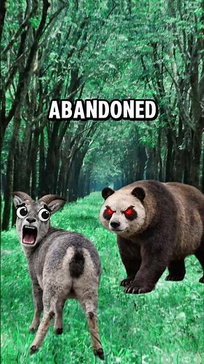 Where Do Pandas Come From?🐼