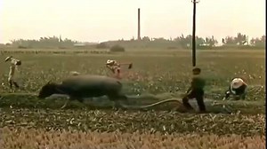 50年代农村生活珍贵影像