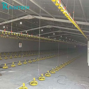 [Hot Item] Poultry Farming Equipment Automatic Pan Feeding System for Breeder/Broiler/Layer Chicken