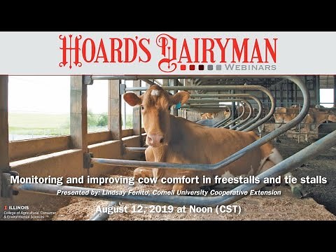 Monitoring and improving cow comfort in freestalls and tie stalls