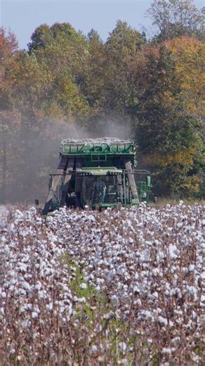 7.4K views · 163 reactions | Happy National Farmer’s Day!  Today, we celebrate the hardworking men and women who put food on our tables, fuel in our tanks, and clothes on our backs. Farmers are the heartbeat of Tennessee, and we’re proud to stand beside you through every season.  | Tennessee Farmers Cooperative | Facebook