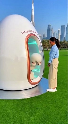 Dubai’s New AI Pet Barber Pod Will Blow Your Mind 😲🤖 Pet Haircut Machine 3.0 ✂️ #shorts