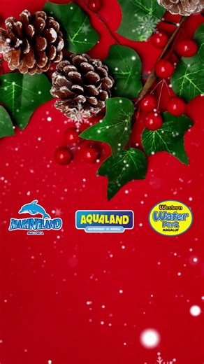 🎅¡Feliz Navidad! 🎄De parte de todo el equipo de Aqualand El Arenal, Marineland Mallorca y Western Water Park, os deseamos unas muy felices fiestas. ¿Formamos parte de vuestros regalos?🎁 #Fiestas #Navidad #mallorca #feliznavidad #aqualandmallorca #aqualandelarenal #adrenalinefun | Aqualand El Arenal