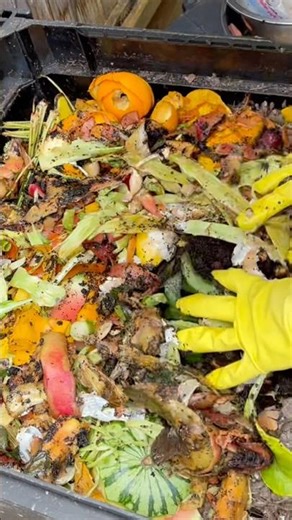 Make your own compost at home to add organic matter to the soil, making it healthier and looser.