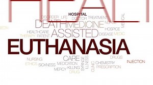 Euthanasia Animated Word Cloud Text Design Stock Footage Video (100% Royalty-free) 31824178 | Shutterstock