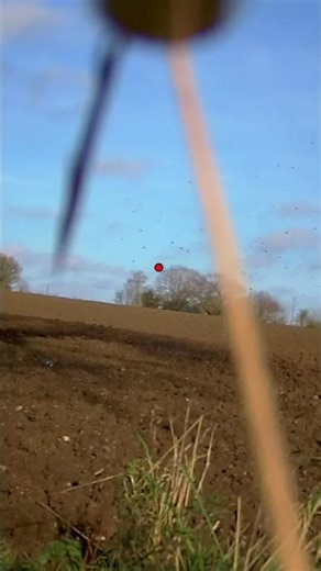 Pigeon decoy shooting #hunting #woodpigeons #pigeon #pigeonshooting