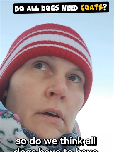 Do All Dogs Need a Coat? Understanding Dog Coat Necessity