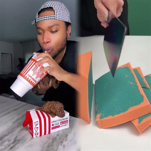 Chicken so delicious! #excuseme #memes #puppy #viralvideo #shorts #pov #toypoodle #funny