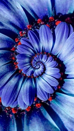 2K views · 29 reactions | Watch time bloom. ⏳ Discover Time Remapping in Premiere Elements 2025 — your tool for turning everyday clips into visual poetry. | Adobe Photoshop Elements & Premiere Elements | Facebook