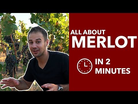 Merlot - All About the Red Merlot Wine Grape, from Walla Walla Washington and Beyond