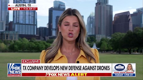 US Army, Navy deploy $10-per-kill autonomous drone killer 'Bullfrog'