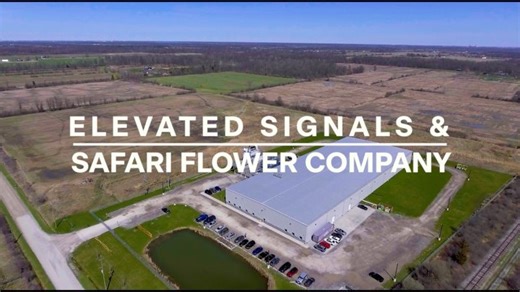 From Canada to Global Markets: How Safari Flower Co. Built an Operation They Could Scale | Safari Flower Company
