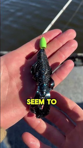 Fall Fishing Pattern 🍂 Your quick guide to catching more bass this season.