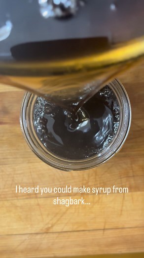 I heard you could make syrup from shagbark hickory, and the idea stuck in my head for months. So I went back, found the tree, gathered what it offered, and followed the process all the way through. Not because I needed syrup… but because I wanted to see if the old stories were true. They were. It’s lighter than maple, deeper than sweet tea, and every bit of it came from a walk in the woods. #shagbarkhickory #hickorysyrup #wildcrafted #forageandfindout #heritagefood #fromscratch #homesteadkitchen