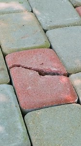 1.5M views · 2.4K reactions | Gardening hacks for you to try | 5-Minute Crafts | Facebook