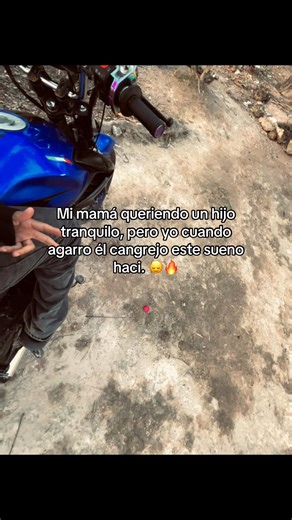 Cangrejo y Motos: La Diversión de Modificaciones