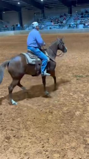 ⭐️Today is the day! TDCJ Prison Horse Sale. Starts at noon in Huntsville, TX⭐️ Come in person or watch and bid online at dvauction.com #ropinghorse #horsebackriding #ranchhorse #horselife #yearlings #trailride #horsesale | Elite Auctions LLC