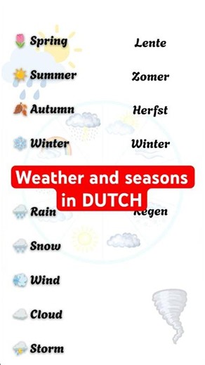 Learn Seasons and Weather in Dutch | Dutch Vocabulary for Beginners ‪@LearningDutchDiaries‬ #shorts