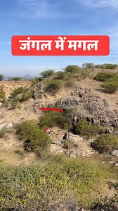 Jungle Mai magal 😱😂 | KRB YT Vlog