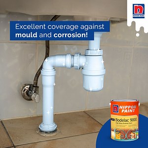 19K views · 687 reactions | Our Bodelac 9000 paint is made to protect your pipes from mould and fungus! With high durability, you can use it in high humidity areas, like the bathroom, to protect PVC pipings from common problems like mould  It also comes in a variety of colours to match your space! Learn more about Bodelac 9000 paints here: https://www.nipponpaint.com.sg/store/products/bodelac-9000/ Featured colour: Portsdown NP N 3299 P | Nippon Paint Singapore | Facebook