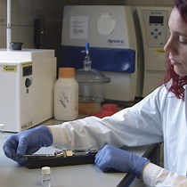 Video: Generation of Cationic Nanoliposomes for the Efficient Delivery of In Vitro Transcribed Messenger RNA