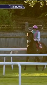 120K views · 1.1K reactions | This horse loves to moonwalk  | Racing TV | Facebook