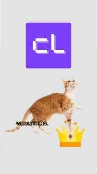 Open Source Projects, explained and reviewed by cats. Part 1. #cat #code #opensource #foss #coolify