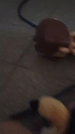 i Used The Scared of The old toei animation logo