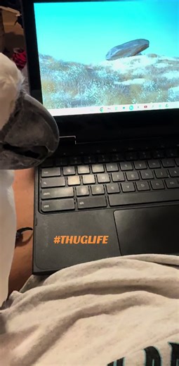 She just had to do it. Couldn’t get any work done. Smh #diva #animalsoftiktok #petlover #beautiful #cockatoolife #cockatoolife #baddie #parrots #thuglife #funnypetsoftiktok #cocktoosoftictoc #birds #sass #attitude #parrotsoftiktok #funnyvideos #parrotlovers