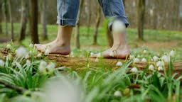 Woman walking on fallen tree barefoot, surrounded by snowdrop flowers...