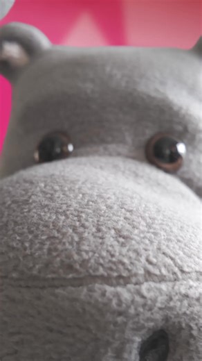 Want to lower your car insurance premium? Save R455* per month by comparing quotes on Hippo.co.za. Find cheaper debit orders now! | Hippo.co.za