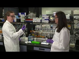 How do dairy producers test for aflatoxins in milk? | Behind the Science