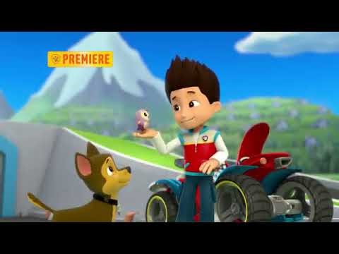 Paw Patrol Pups Go All Monkey & Pups Save a Hoot Promo 2014.