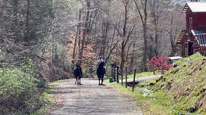 Ummm, not my finest moment. Lol But I was completely fine. Amanda dramatically overreacted. | Tripp Halstead Updates