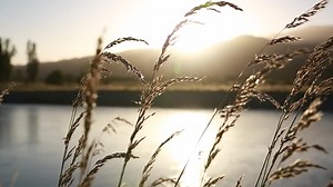 17K views · 21 reactions | Desires are a Blockage to your Destiny...