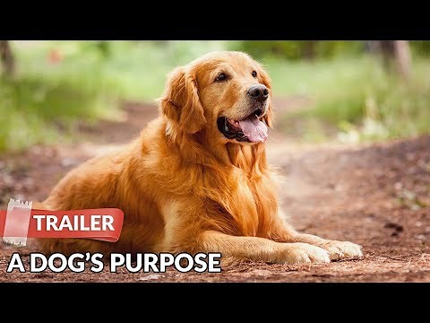 A Dog's Purpose (2017) Trailer HD | Josh Gad | Dennis Quaid