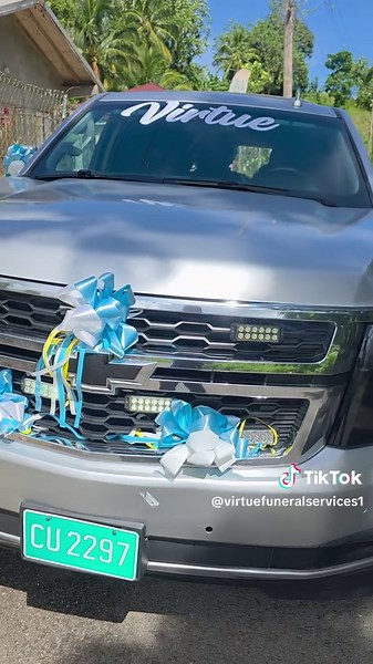 Virtue Funeral Services serving in Comfort Castle Portland. Funeral Service for the late Bernice McLean Green. Gone but not forgotten